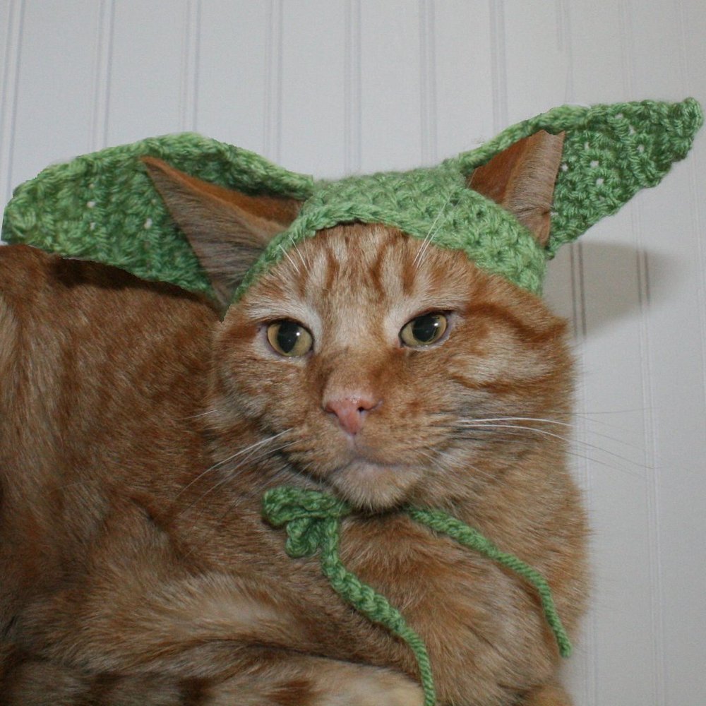 HAND CRAFTED Baby Yoda Mandalorian Crochet Cat Hat Wig Ears Costume Photo Prop